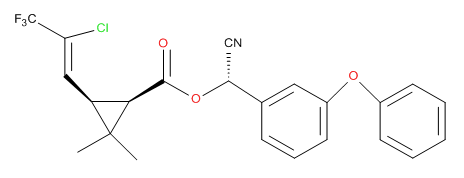 云开体育app官方下载安装最新版