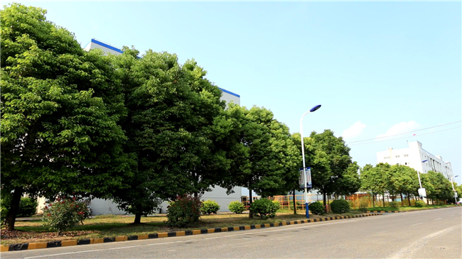 云开体育app官方下载安装最新版