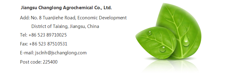 云开体育app官方下载安装最新版