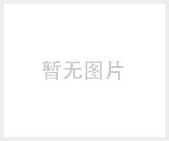 微电脑百分百治疗仪